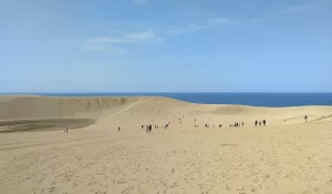 砂漠ってこんな感じなのかな…？鳥取砂丘の砂でちゃんとテンション上がった話